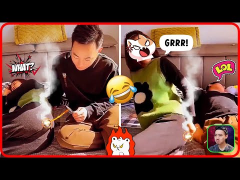 Try Not To Laugh Impossible - ToniFunni's Compilation