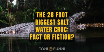 28 foot biggest salt water croc