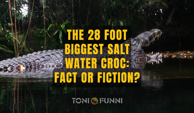 28 foot biggest salt water croc