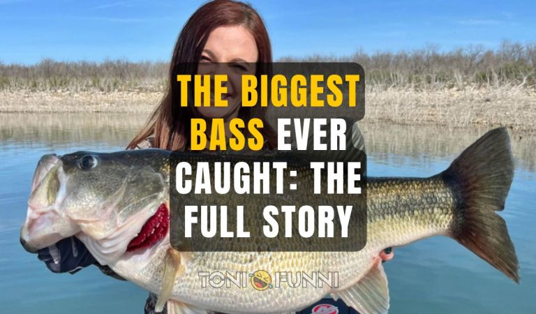 biggest bass ever caught