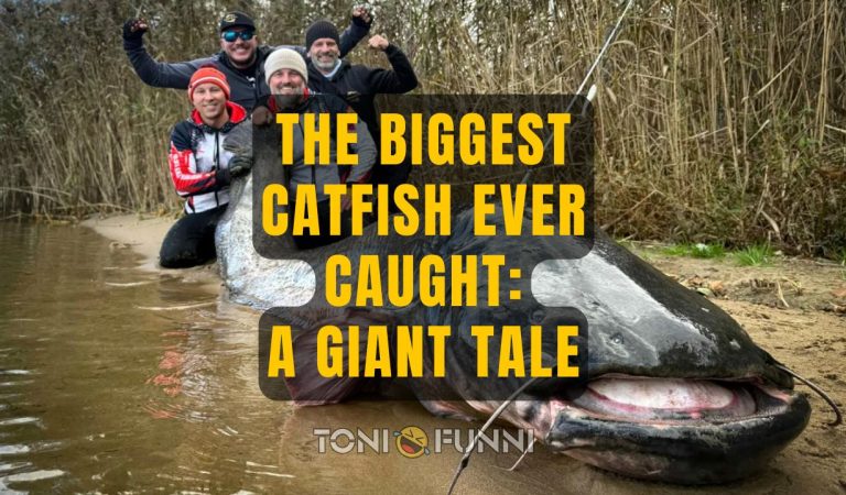 biggest catfish ever caught