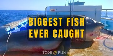 biggest fish ever caught