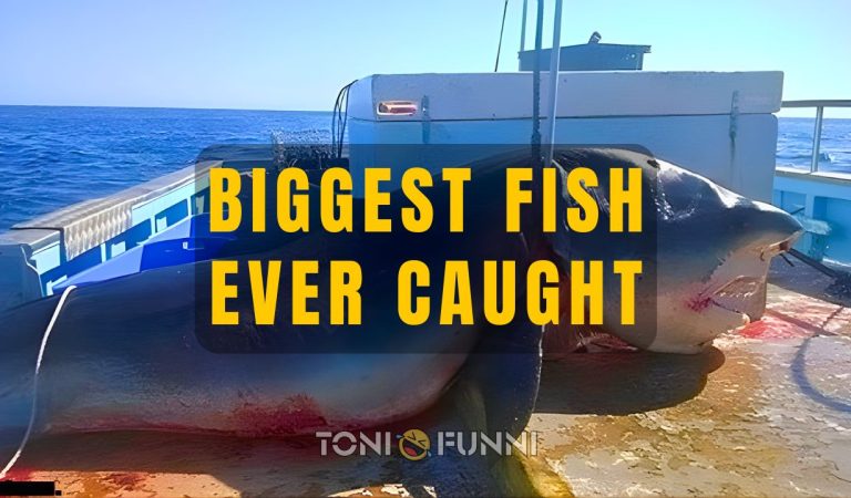 biggest fish ever caught