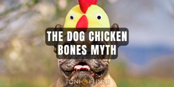 dog chicken bones myth