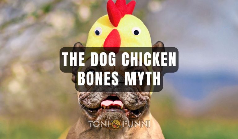 dog chicken bones myth