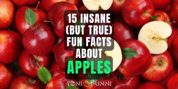 fun facts about apples