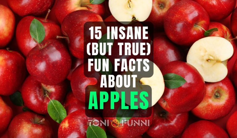 fun facts about apples