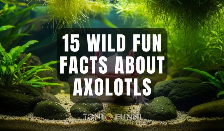 fun facts about axolotls