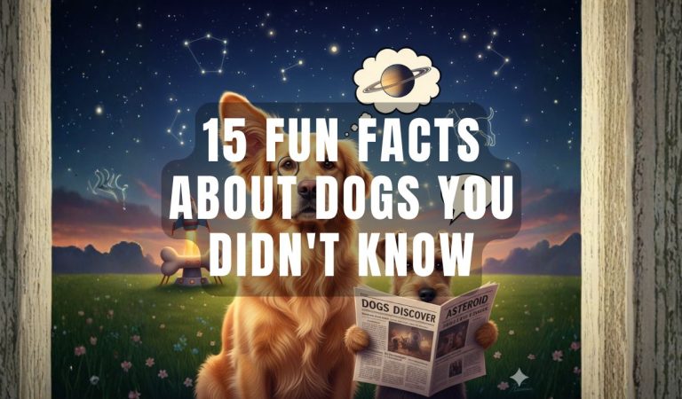 fun facts about dogs