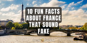 fun facts about france