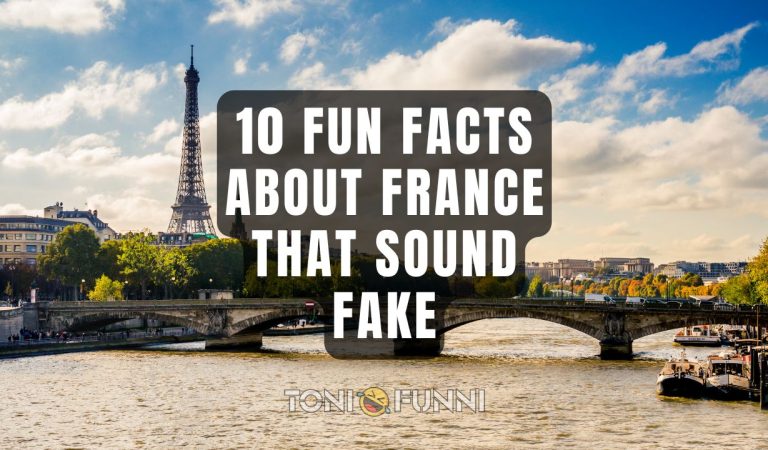 fun facts about france