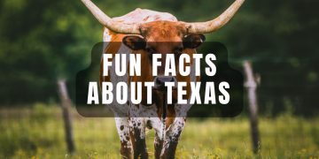 fun facts about texas