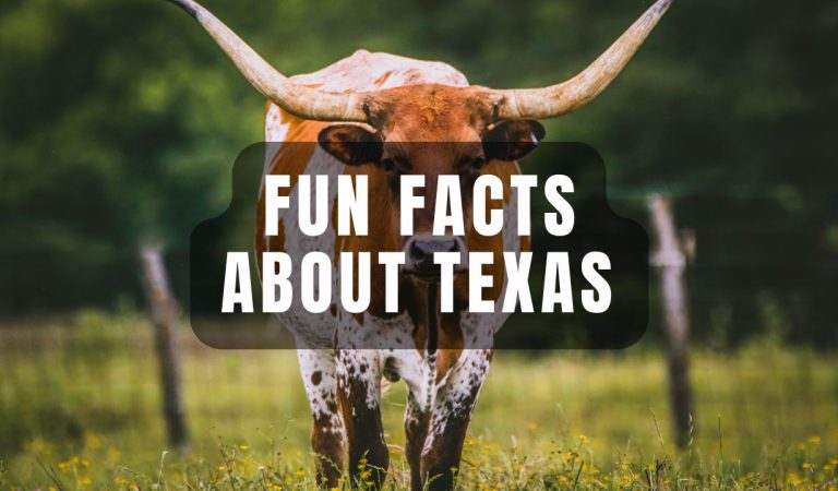 fun facts about texas