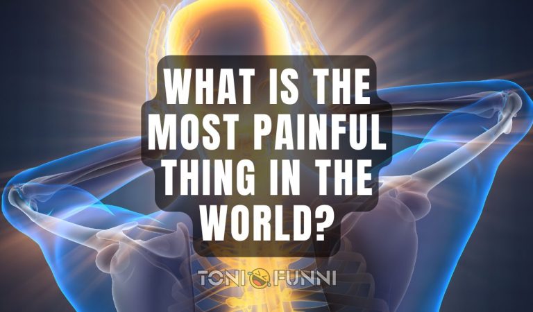 what is the most painful thing in the world