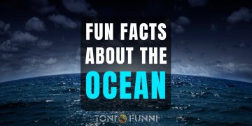 fun facts about the ocean