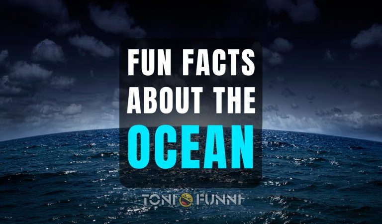 fun facts about the ocean