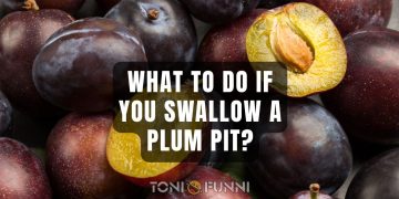 what to do if you swallow a plum pit